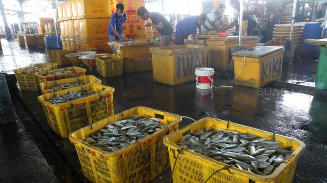 Aktivitas di Pasar Ikan Muara Angke, Jakarta, Kamis (20/6). [Suara.com/Arief Hermawan P]