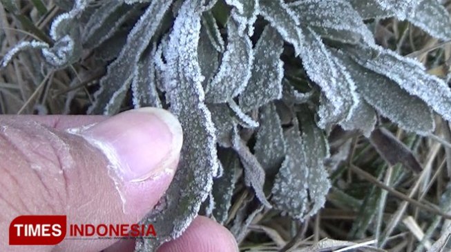 ‘Frozen Bromo’ Phenomenon
