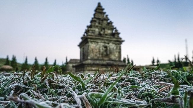 Embun beku yang muncul akibat penurunan suhu hingga minus tujuh derajat celcius menyelimuti kompleks Candi Arjuna, di dataran tinggi Dieng, Banjarnegara, Jawa Tengah, Selasa (25/6). ANTARA FOTO/Idhad Zakaria