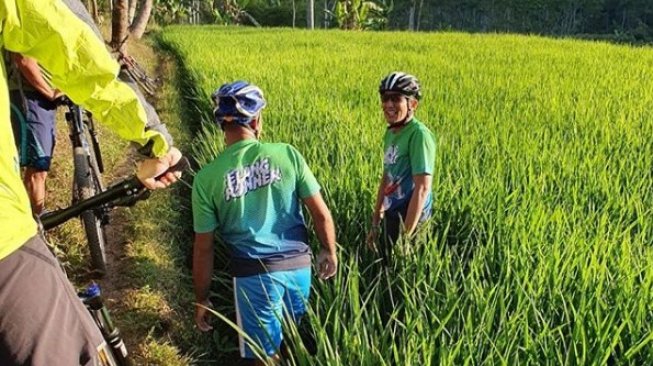 Sandiaga Uno nyemplung ke sawah saat bersepeda (Instagram/ @sandiuno)