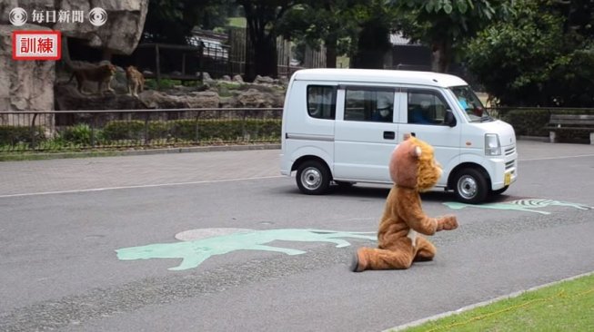 Adegan singa lepas di kebun binatang jadi tertawaan (youtube.com/)