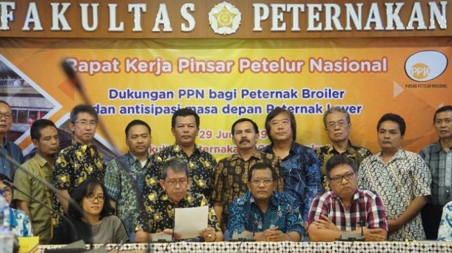 Belajar Dari Kasus Ayam Broiler, Peternak Ayam Petelur Lakukan Antisipasi