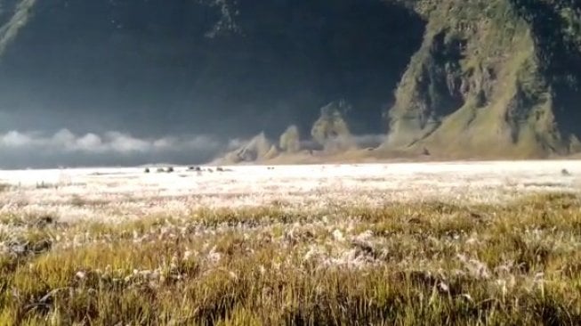 Kaki Gunung Bromo tertutup embun membeku. (Suara.com/Febrinastri)