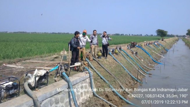 Musim Kemarau Tahun Ini, Pemerintah Antisipasi Kegagalan Panen