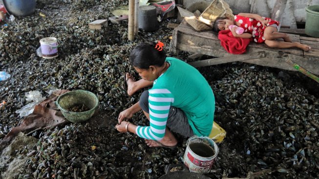 Sejumlah perempuan mengupas kerang di Kampung Nelayan Muara Angke, Jakarta, Kamis (4/7). [Suara.com/Muhaimin A Untung]