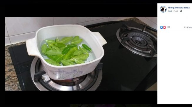 Manfaat air rebusan daun tanaman tapak dara (Manfaat tanaman tapak dara (Facebook/Nieng Mutiara Nasa)