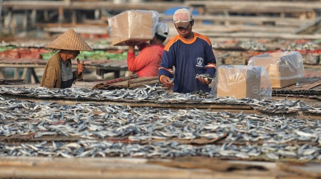 Pekerja menjemur ikan asin di Muara Angke, Jakarta Utara, Jumat (5/7). [Suara.com/Muhaimin A Untung]