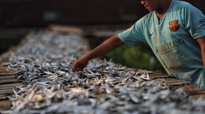 Pekerja menjemur ikan asin di Muara Angke, Jakarta Utara, Jumat (5/7). [Suara.com/Muhaimin A Untung]