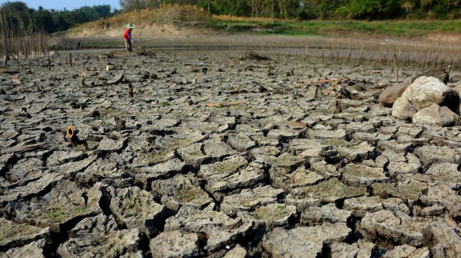 Kondisi waduk Grojokan yang mulai mengering di Desa Pelabuhan, Kecamatan Plandaan, Jombang, Jawa Timur, Senin (8/7). ANTARA FOTO/Syaiful Arif