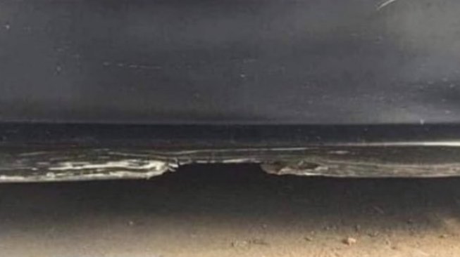 Jika Menebak Ini Foto Pantai kala Malam, Anda Tertipu! Aslinya Bikin Syok