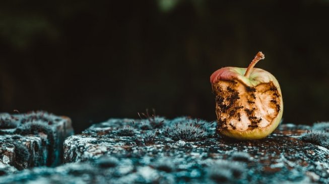 Warga Gempol Sari Dibikin Kesal Terima Buah Busuk dari BPNT PKH