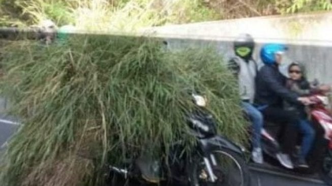 Pemotor Bawa Rumput Sampai Tak Kelihatan, Warganet: Pakai Mata Batin