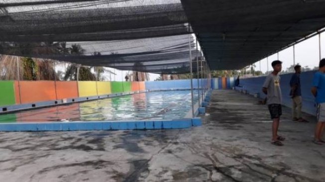  Bocah 7 Tahun Tewas Tenggelam di Sergai
