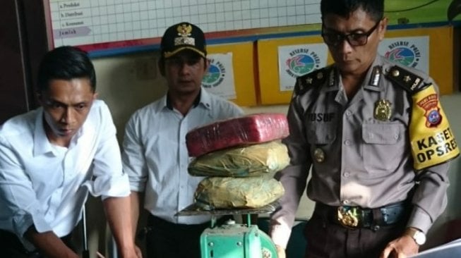 Warga Limapuluh Kota Digemparkan Temuan Ratusan Kilogram Ganja Tak Bertuan