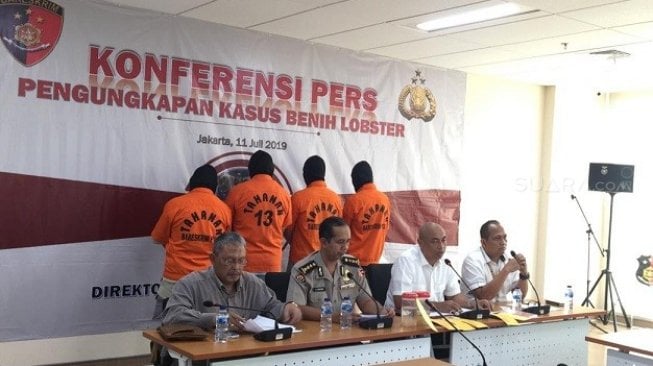 Polri Gagalkan Penyelundupan Benih Lobster ke Singapura, 4 Orang Diringkus