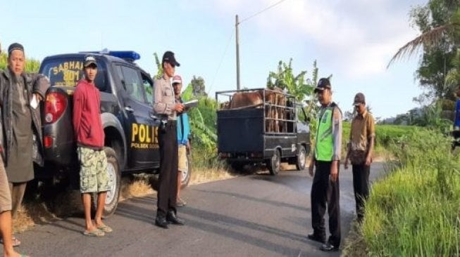 Tabrak Pikap Pengangkut Sapi di Ponorogo, Sinta Umi Meninggal Dunia