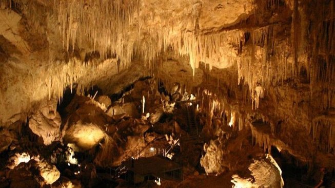 Mammoth Cave (Wikimedia Commons Tirin)