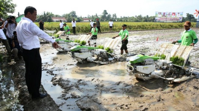 Hadapi Kemarau, Kementan Imbau Petani Maksimalkan Penggunaan Alsintan