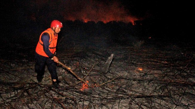 Setara 8 Kali Pulau Bali, 4,4 Juta Hektar Lahan Terbakar Era Rezim Jokowi