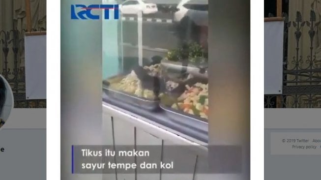 Viral Tikus Makan Masakan di Warteg, Waspada Saat Memilih Warung