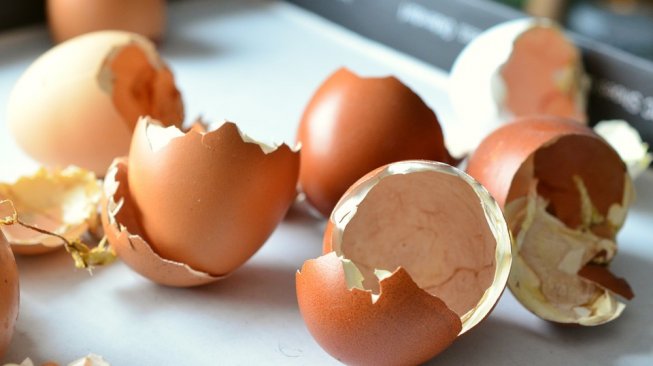 Olah Cangkang Telur Jadi Bubuk Ini Manfaatnya Untuk Kesehatan Tulang