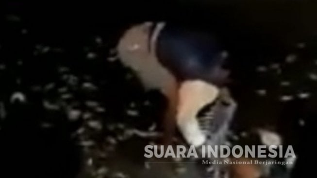 Video Aneh Sebelum Gempa Bali 6 SR, Ikan Mendadak Lompat dari Laut