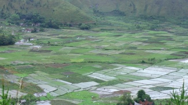 Pemadangan selama pendakian Pusuk Buhit. (Suara.com/Silfa Humairah)