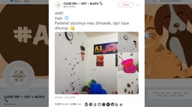 Postingan warganet, siput kabur mau dimasak. [Twitter]