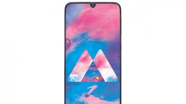 Samsung Galaxy M30 [Samsung.com]