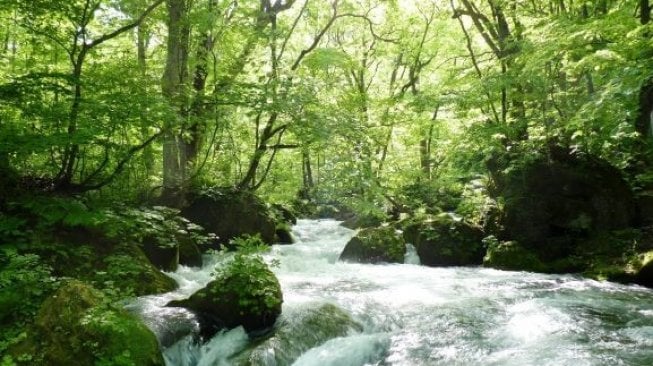 Oirase Gorge (Prefektur Aomori)