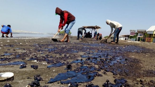 Kemenkes Disebut Cuek soal Zat Berbahaya Terkait Kebocoran Minyak Pertamina