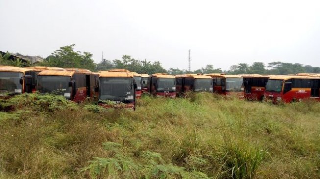 Soal Kuburan Massal Busway, Dishub DKI Bakal Bawa ke Meja Hijau