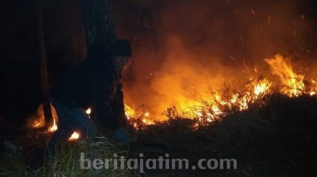 Gunung Arjuna Terbakar, Puluhan Pendaki Dikabarkan Terjebak