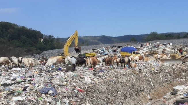 Target 77 TPS! Malang Gencar Percantik Tempat Pengelolaan Sampah