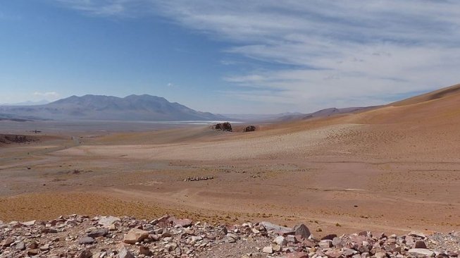 Suasana di Gurun Atacama (Wikimedia Commons Jess Wood)