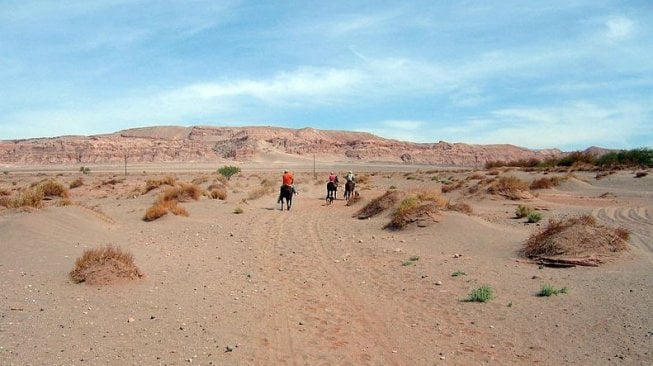 Suasana di Gurun Atacama (Wikimedia Commons Enthropy 1963)