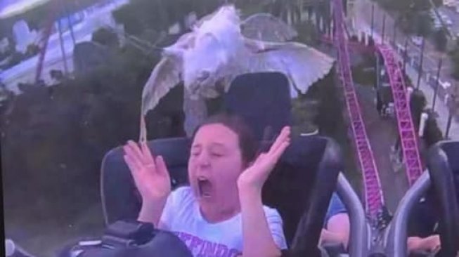 Lagi Teriak Naik Roller Coaster, Gadis Ini Viral Ditabrak Burung di Wajah