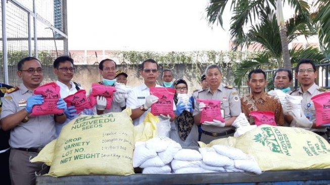 Benih Jagung Mengandung Bakteri, Pemerintah Indonesia Akan Surati India