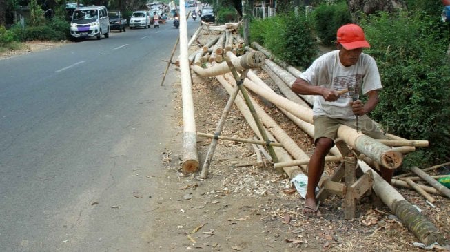 Pedagang menyelesaikan pohon pinang yang akan dijual di kawasan Manggarai, Jakarta, Rabu (31/7). [Suara.com/Oke Atmaja]