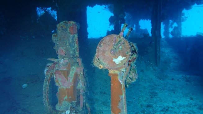 Pemandangan Menakjubkan di Bawah Air (Google Maps)