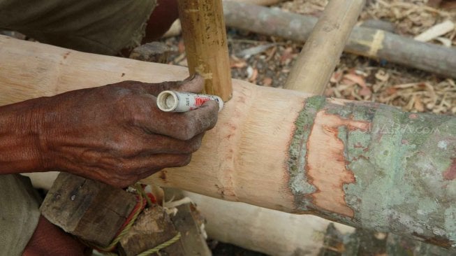 Pedagang menyelesaikan pohon pinang yang akan dijual di kawasan Manggarai, Jakarta, Rabu (31/7). [Suara.com/Oke Atmaja]