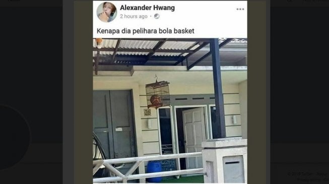 Penampakan Peliharaan Tidak Biasa Ini Bikin Bingung Warganet