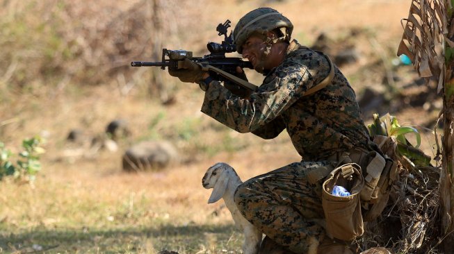 Marinir Amerika Serikat United States Marine Corps (USMC) berlatih penghancuran objek vital pada giat Latihan Bersama (Latma) Cooperation Afloat Readiness and Training (CARAT) 2019 bersama prajurit Korps Marinir TNI AL di Hutan Selogiri, Banyuwangi, Jawa Timur, Senin (5/8). [ANTARA FOTO/Budi Candra Setya]