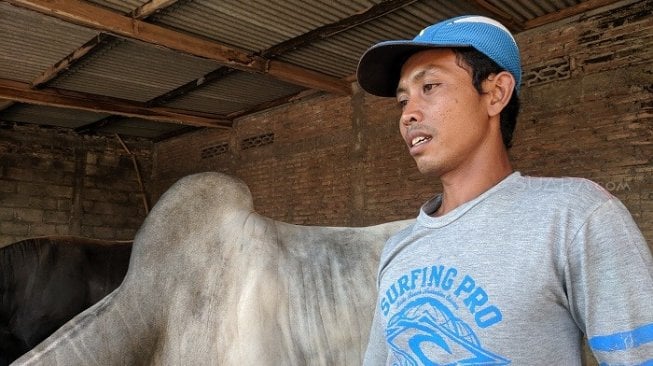 Andi Saputro, pemilik peternakan sapi Lembu Suro 05. (Suara.com/Ari Purnomo).