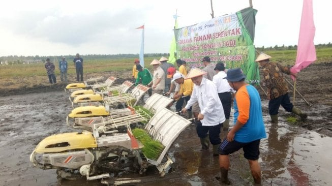 Program Serasi di Kalimantan Selatan Siap Dukung Pangan Ibu Kota Baru