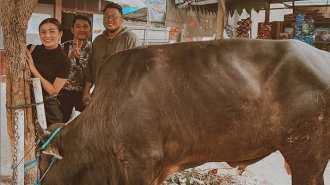 Duh, Awkarin Nyaris Diseruduk Sapi Kurbannya Sendiri