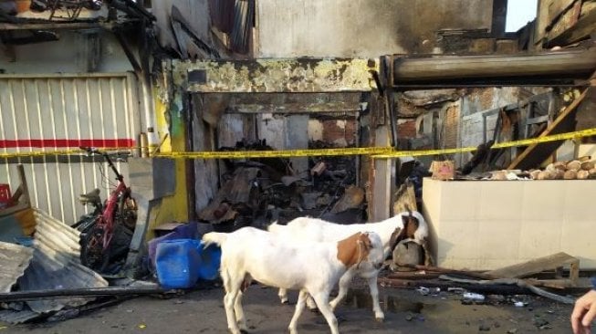 Pasar Kambing Tanah Abang Diduga Terbakar karena Panik Disiram Pakai Bensin