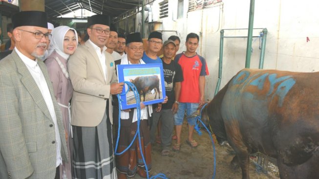 Ridwan Kamil: Pembagian Daging Kurban Tidak Gunakan Kantong Plastik