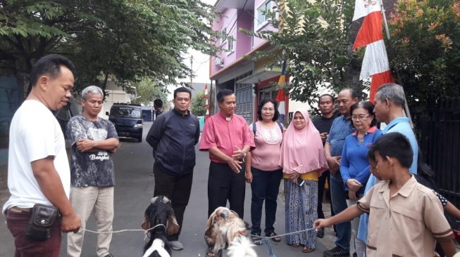 Ikut Dalam Kebersamaan, Gereja Katolik di Jakarta Sumbang 241 Hewan Kurban