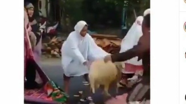 Kambing seruduk jamaah sebelum salat Idul Adha. (Instagram/@makassar_info)